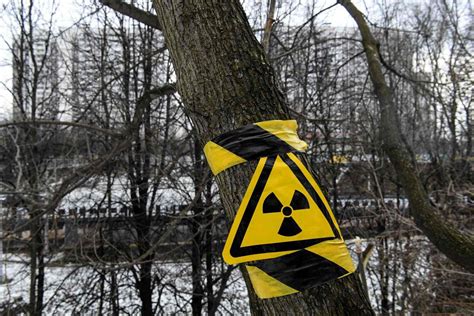 Le bois de Tchernobyl est dangereux pour la santé, surtout quand il est brûlé !