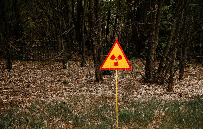 Bois de chauffage radioactif